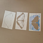 Morphfalter - Morpho Menelaus - Schablonen- & Schnittdatei