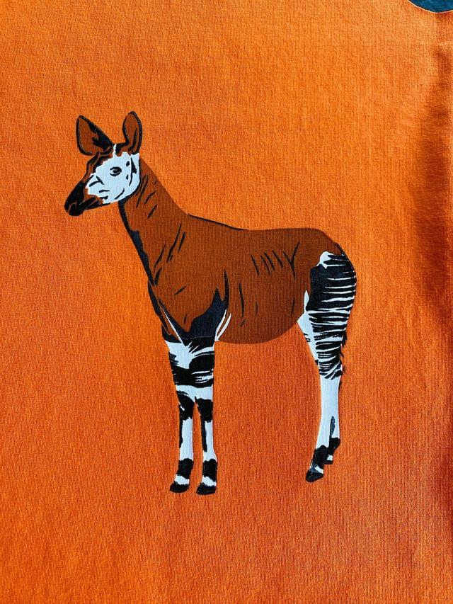 Okapi Schablonen- & Schnittdatei