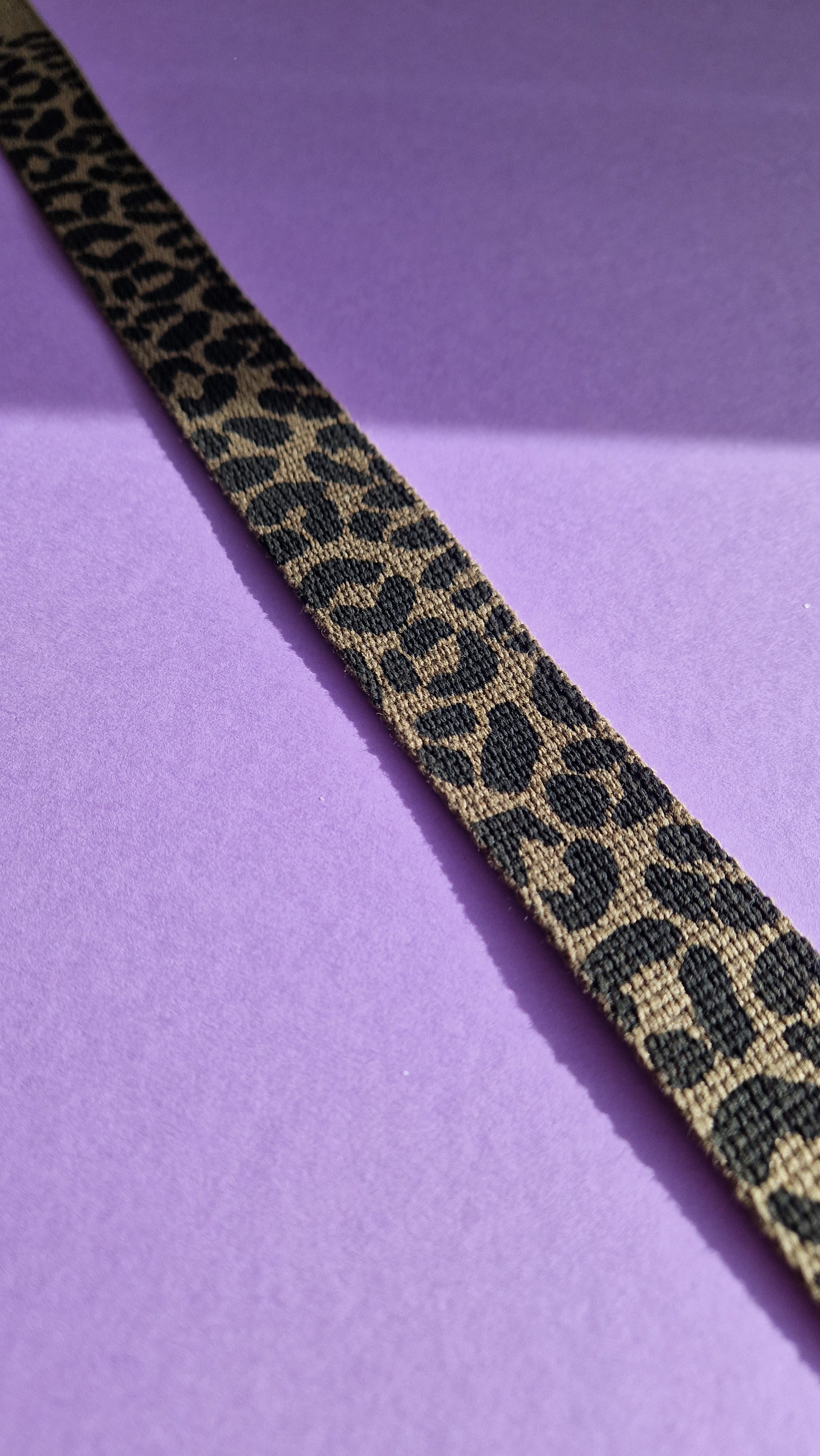 Leo Webbing - Stencil & Cut File