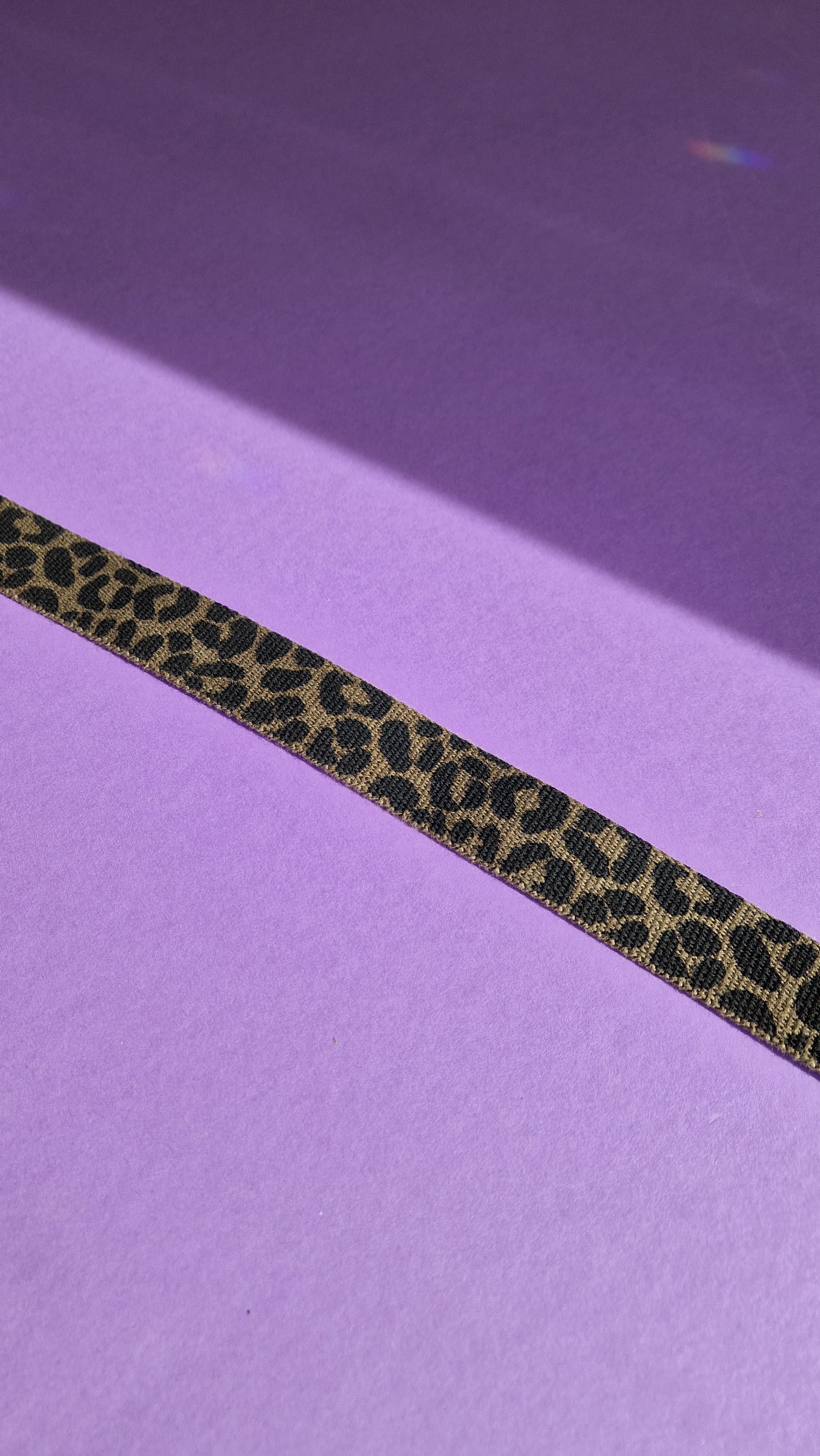 Leo Webbing - Stencil & Cut File
